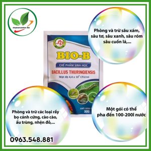 Bio B