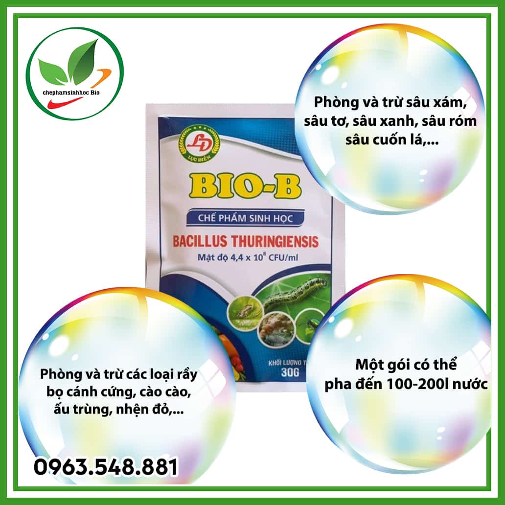 Bio B