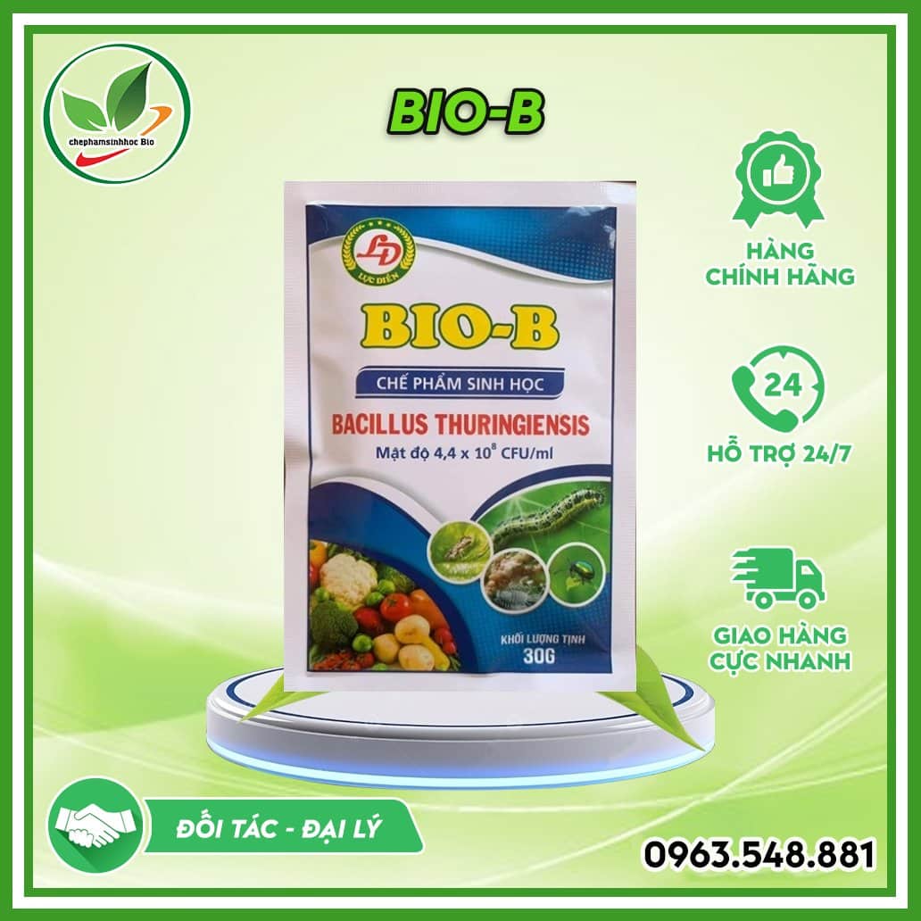 Bio B
