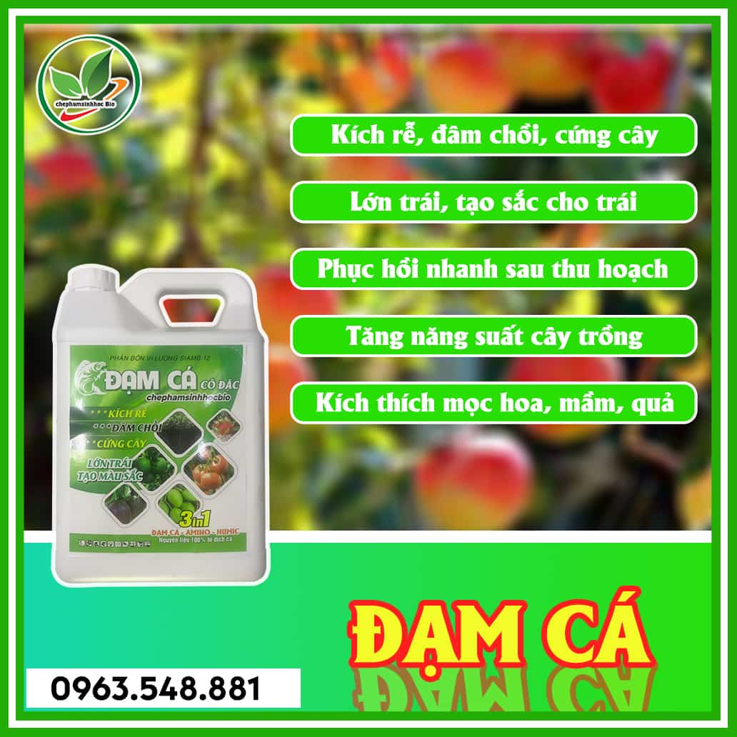 Đạm cá can 5L