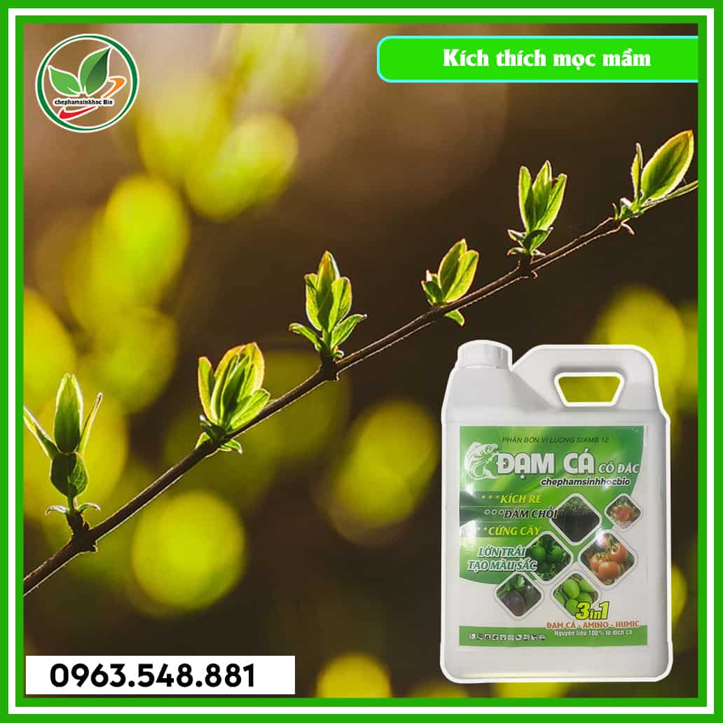 Đạm cá can 5L