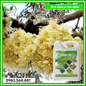 Đạm cá can 5L