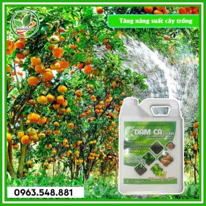 Đạm cá can 5L