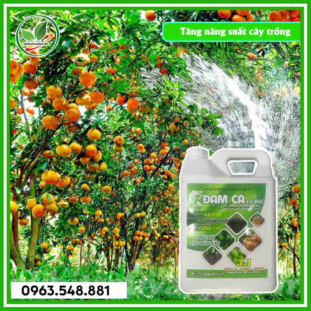 Đạm cá can 5L