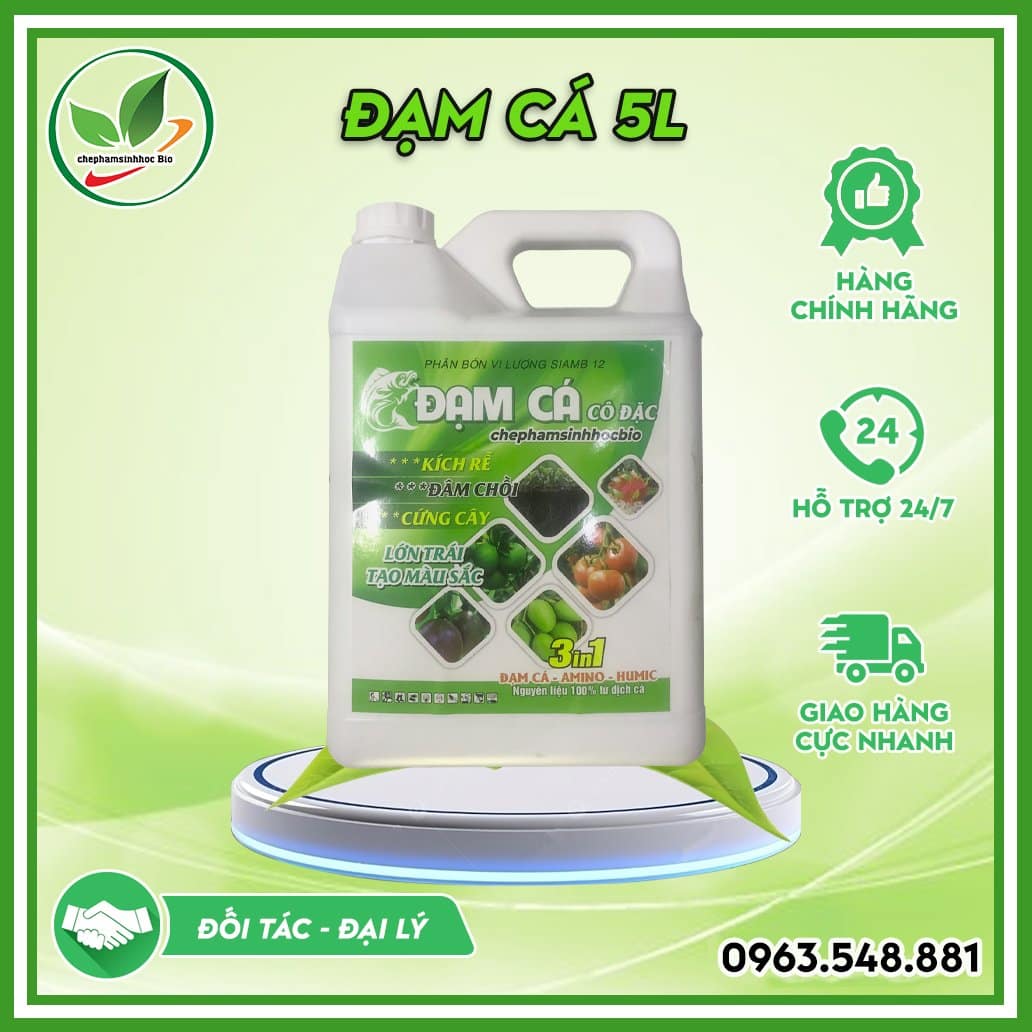 Đạm cá can 5L