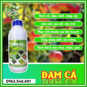 Đạm cá chai 1L