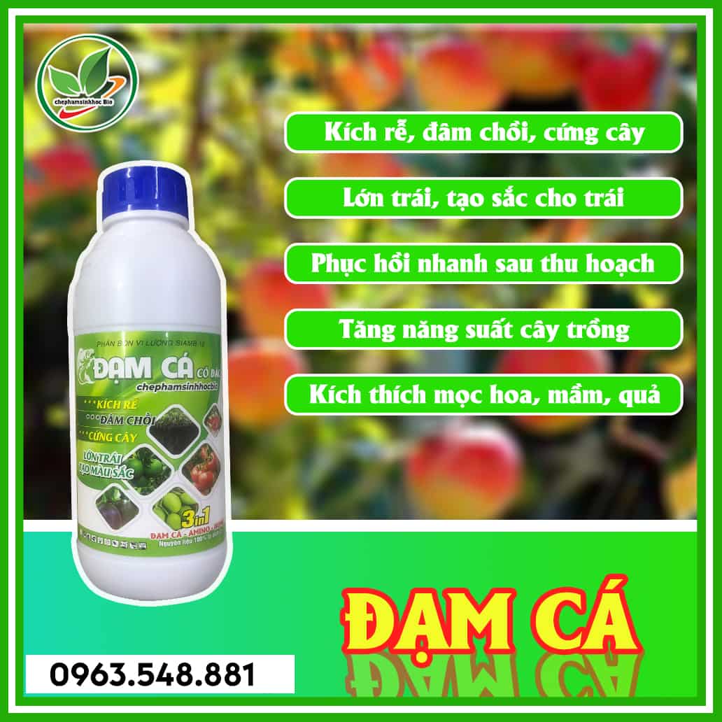 Đạm cá chai 1L