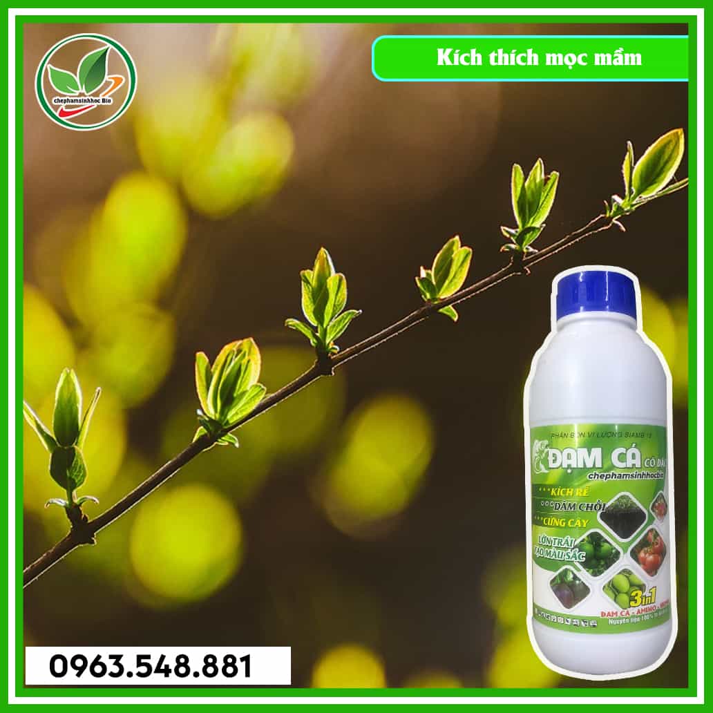 Đạm cá chai 1L