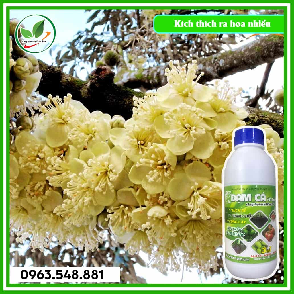 Đạm cá chai 1L