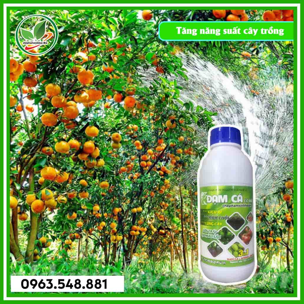 Đạm cá chai 1L