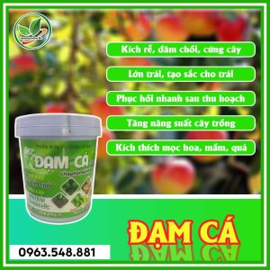 Đạm cá xô 20L
