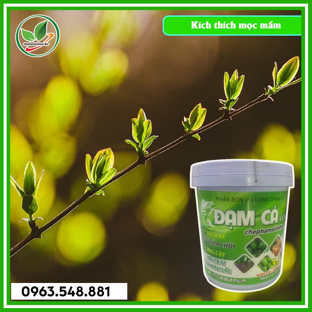 Đạm cá xô 20L