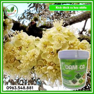Đạm cá xô 20L