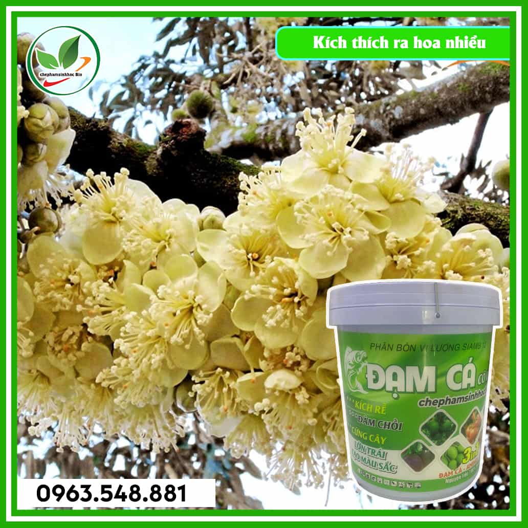 Đạm cá xô 20L