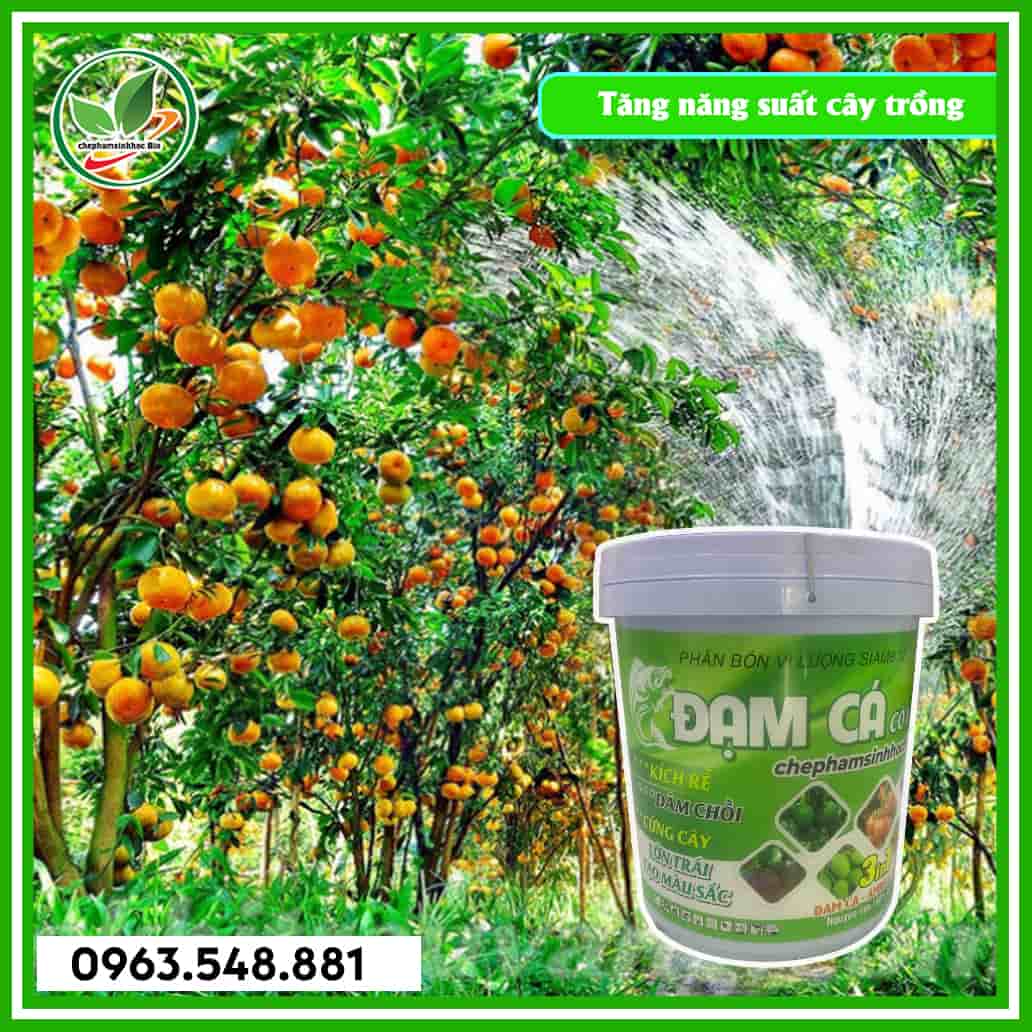 Đạm cá xô 20L