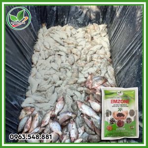 Emzone 200g