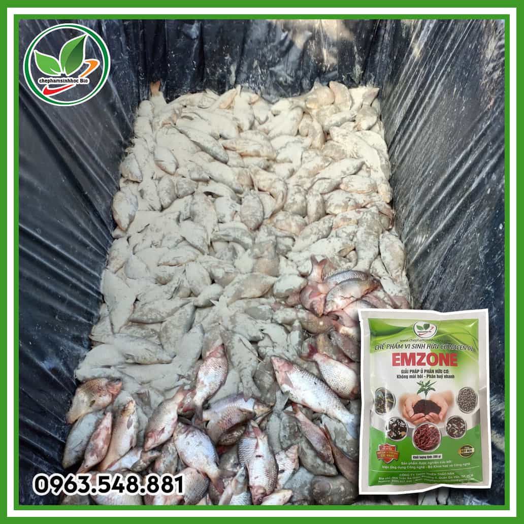 Emzone 200g