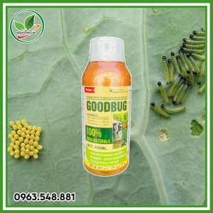 GoodBug