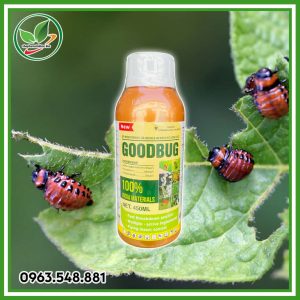 GoodBug