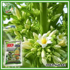 MKP RICH