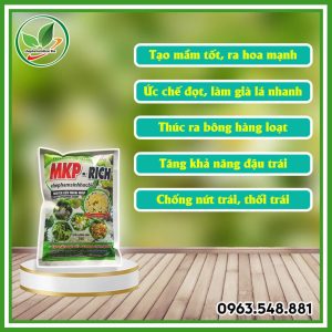 MKP RICH
