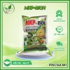 MKP RICH