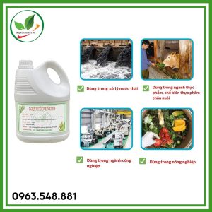 Mật rỉ đường can 5kg