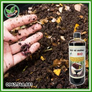 Mật rỉ đường chai 1L