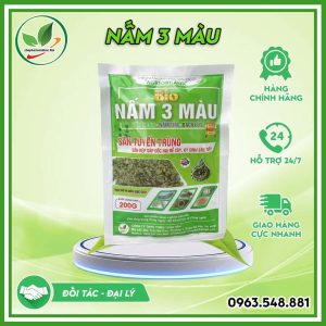 Nấm 3 màu