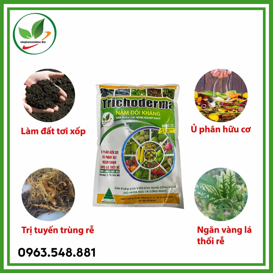 Nấm đối kháng trichoderma