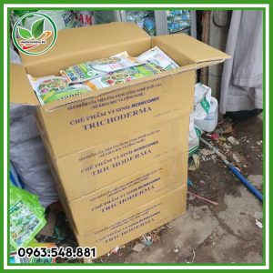 Nấm đối kháng trichoderma