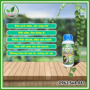 Nano đồng
