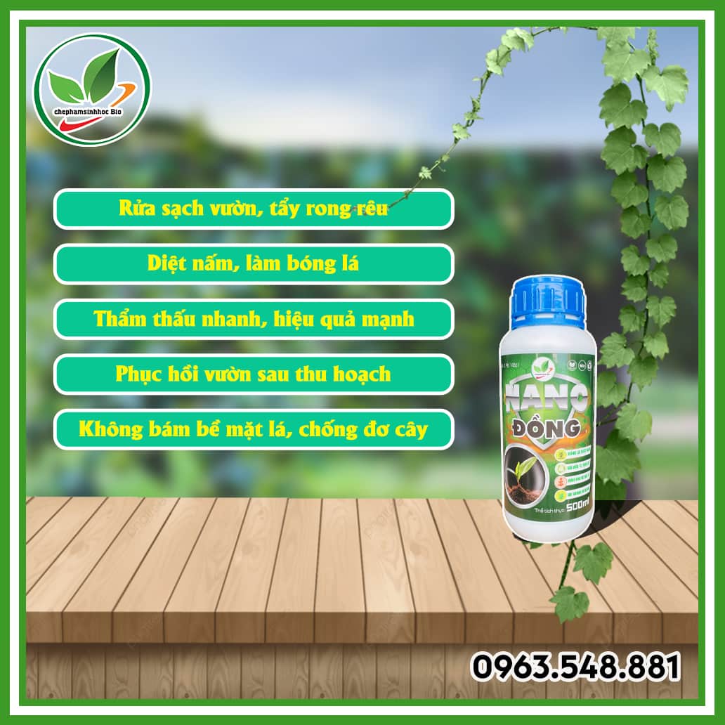 Nano đồng