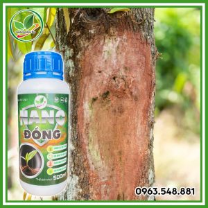 Nano đồng