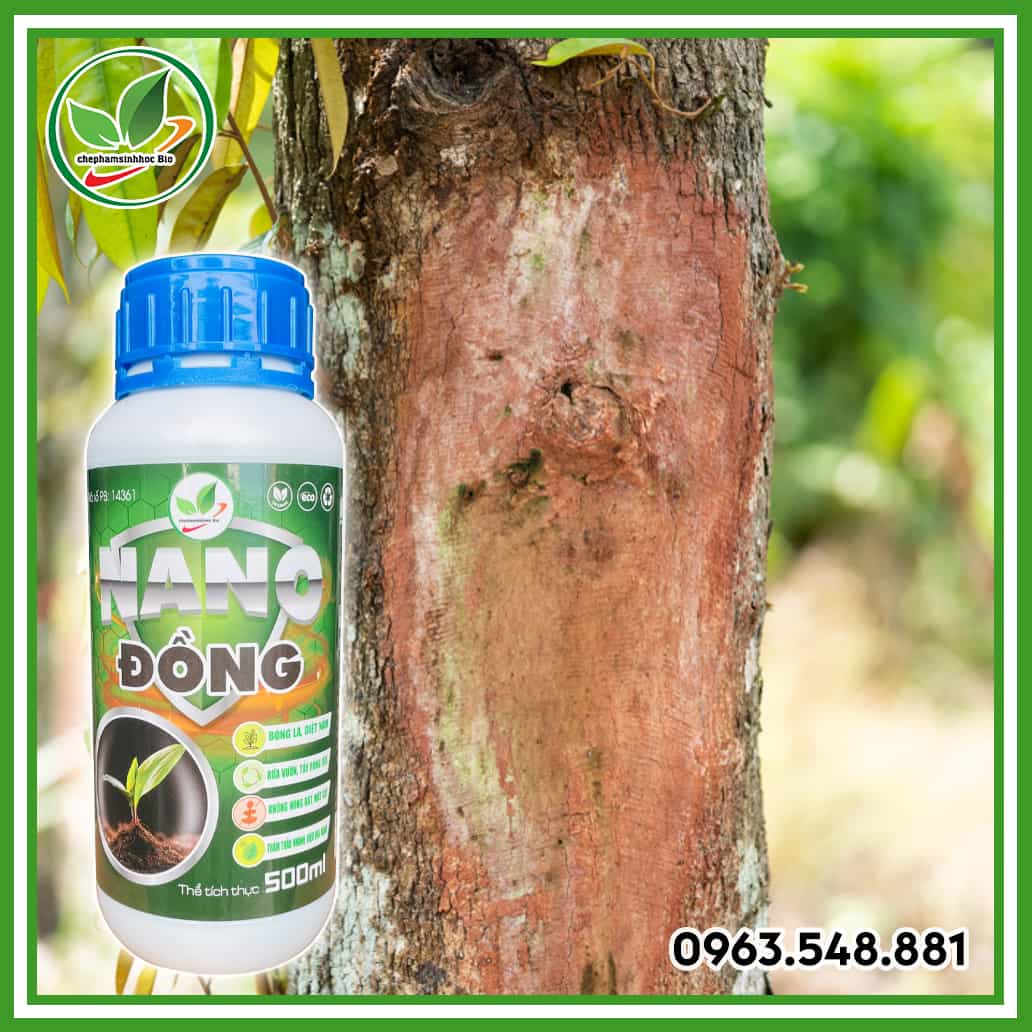Nano đồng