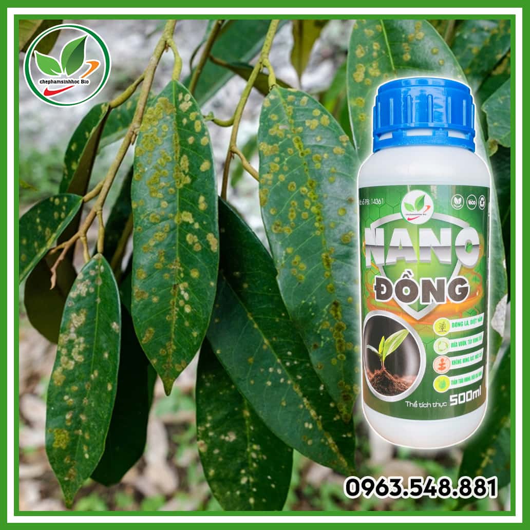 Nano đồng