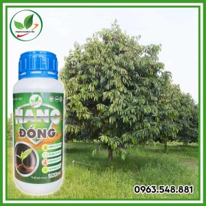 Nano đồng