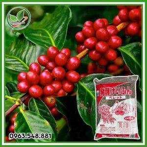 Phân Gà Hữu Cơ Nhật Bản 15kg