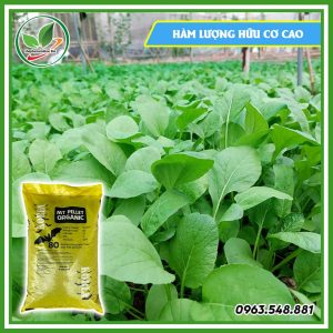 Phân gà Hàn Quốc bao 20kg