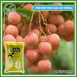 Phân gà Hàn Quốc bao 20kg