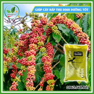 Phân gà Hàn Quốc bao 20kg