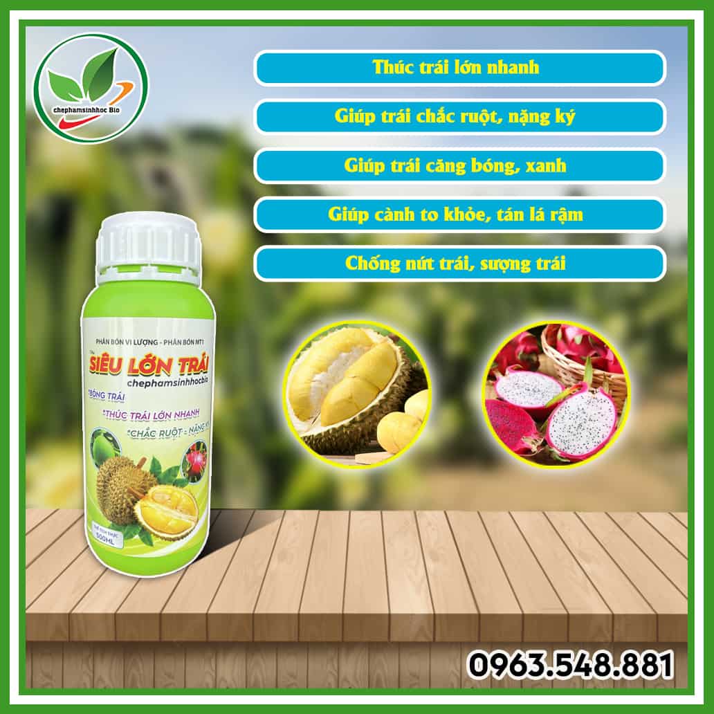 Siêu lớn trái
