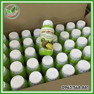 Siêu lớn trái
