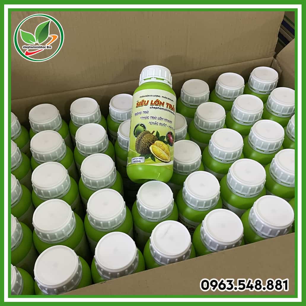 Siêu lớn trái