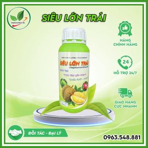 Siêu lớn trái