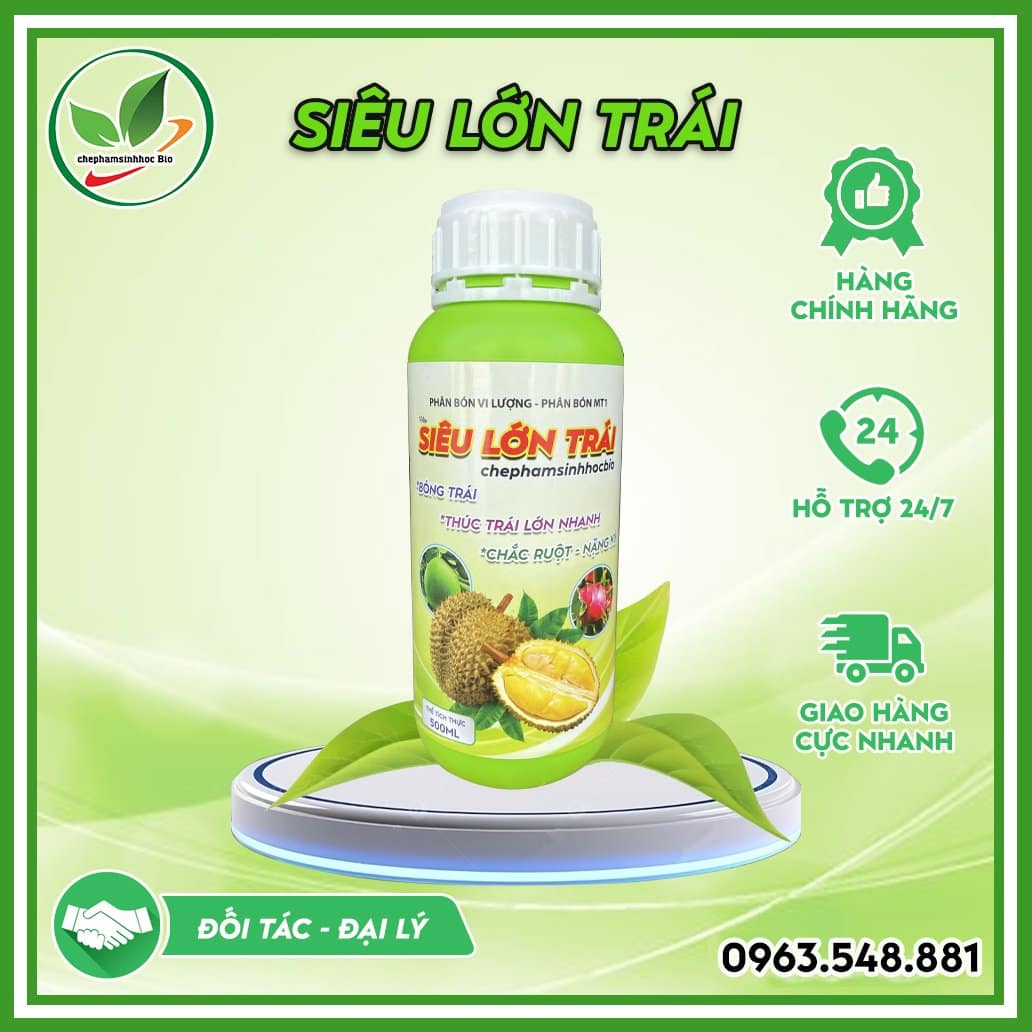 Siêu lớn trái