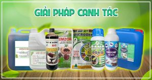 banner Giải Pháp Canh Tác