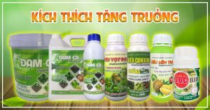 banner Kích Thích Tăng Trưởng