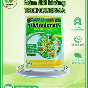 nấm đối kháng trichoderma