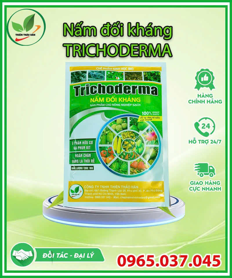 nấm đối kháng trichoderma
